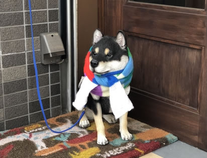 シエロアズール